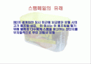 스팸메일이란? 2페이지