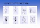 성적 소수자 18페이지