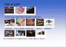 성적 소수자 24페이지