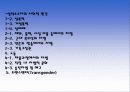 성적 소수자 32페이지