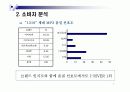삼성 Yepp mp3플레이어 비즈니스 사례분석 6페이지