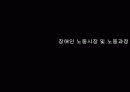 장애인 노동시장 및 노동과정 1페이지