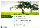 유한양행의 모든것 15페이지
