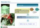 유한양행의 모든것 21페이지