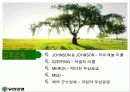 유한양행의 모든것 22페이지