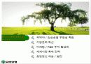 유한양행의 모든것 33페이지
