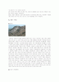 약령시장 활성화를 통한 대구지역 관광활상화 방안 18페이지