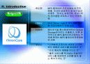 국내 기업 CEO의 리더쉽 분석(LG전자 김쌍수 부회장과 레인콤의 양덕준 사장) 5페이지