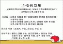 식품첨가물의 종류과 기능 7페이지