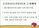 식품첨가물의 종류과 기능 13페이지