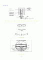 Differential Scanning Calorimetry(DSC) 12페이지