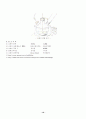 MMA 유화중합 10페이지