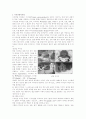디자인 분석 및 성공전략 11페이지