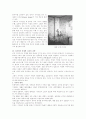 디자인 분석 및 성공전략 14페이지