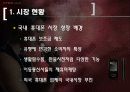 싸이언(cyon)마케팅 사례분석 13페이지