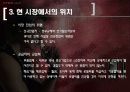 싸이언(cyon)마케팅 사례분석 24페이지