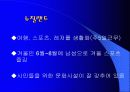 레저마케팅과 한국사회 및 국제적관계 8페이지