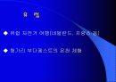 레저마케팅과 한국사회 및 국제적관계 10페이지