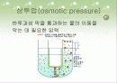 삼투압현상 4페이지