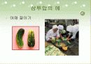 삼투압현상 5페이지