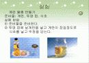 삼투압현상 10페이지