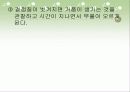 삼투압현상 11페이지