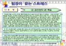 직장스트레스 17페이지