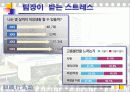직장스트레스 20페이지