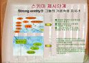 U.C Burklee 어학입학 시스템 8페이지
