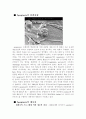 apoptosis(세포죽음) 4페이지