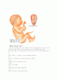 임신과 출산 30페이지