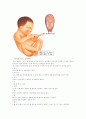 임신과 출산 32페이지