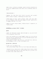 지적재산권 문제에 대한 연구-computer software를 중심으로- 28페이지