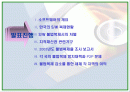 지적재산권문제에 관한 연구-Computer software를 중심으로- 2페이지