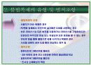 지적재산권문제에 관한 연구-Computer software를 중심으로- 21페이지