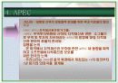 지적재산권문제에 관한 연구-Computer software를 중심으로- 26페이지
