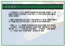 지적재산권문제에 관한 연구-Computer software를 중심으로- 44페이지