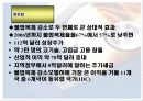 지적재산권문제에 관한 연구-Computer software를 중심으로- 54페이지