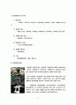 버섯과 곰팡이 비교 분석 6페이지