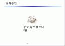 브랜드 커뮤니케이션 전략 22페이지