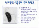 여름철 식중독 예방법 6페이지