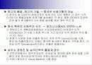 중국시장 광고전략 18페이지