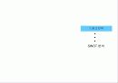 사업계획서 '다카넷 닷컴' 28페이지