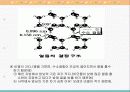 수소(水素, Hydrogen) 16페이지