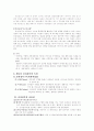 미국의 전자정부 10페이지
