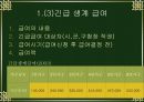 국민기초 생활보장제도 33페이지