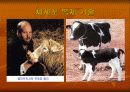 생명윤리 7페이지