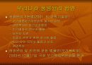 생명윤리 13페이지