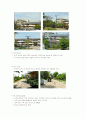 비오톱(Biotope) 8페이지