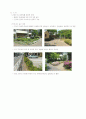 비오톱(Biotope) 10페이지